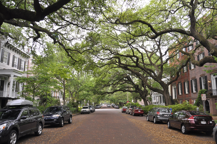 All about my first trip to Savannah, GA | Wishes and Dishes