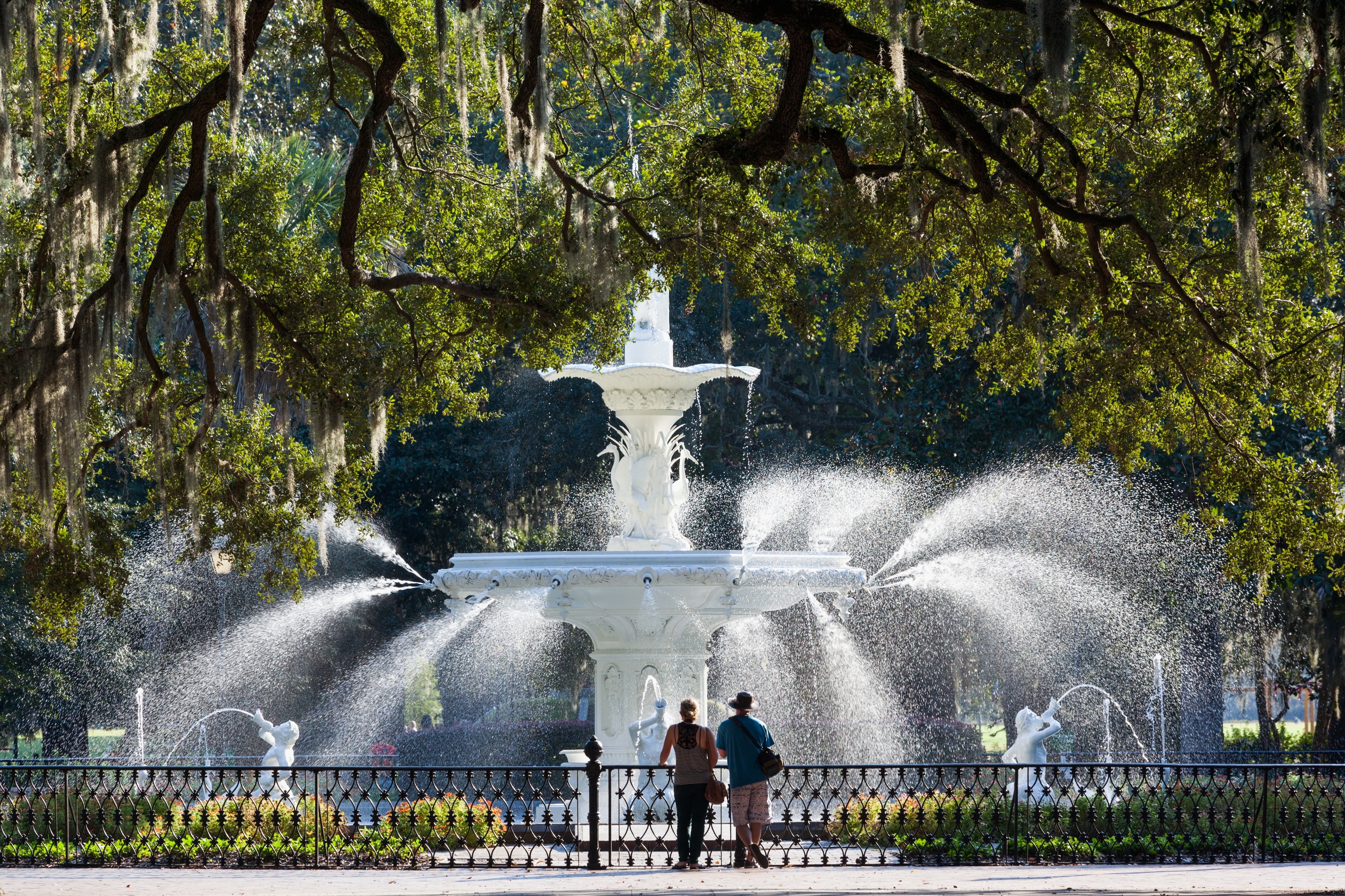 The Savannah