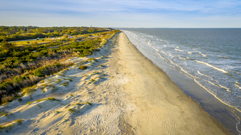 Coastal hub for wildlife and landmarks