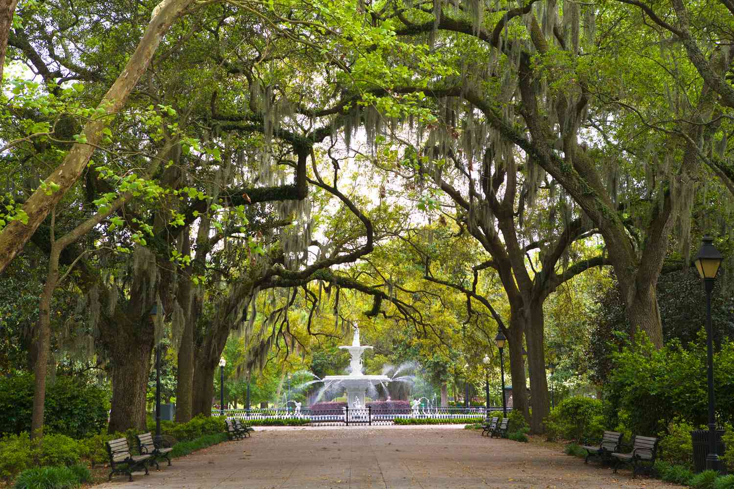 Savannah Forsyth Park fountain and greenery