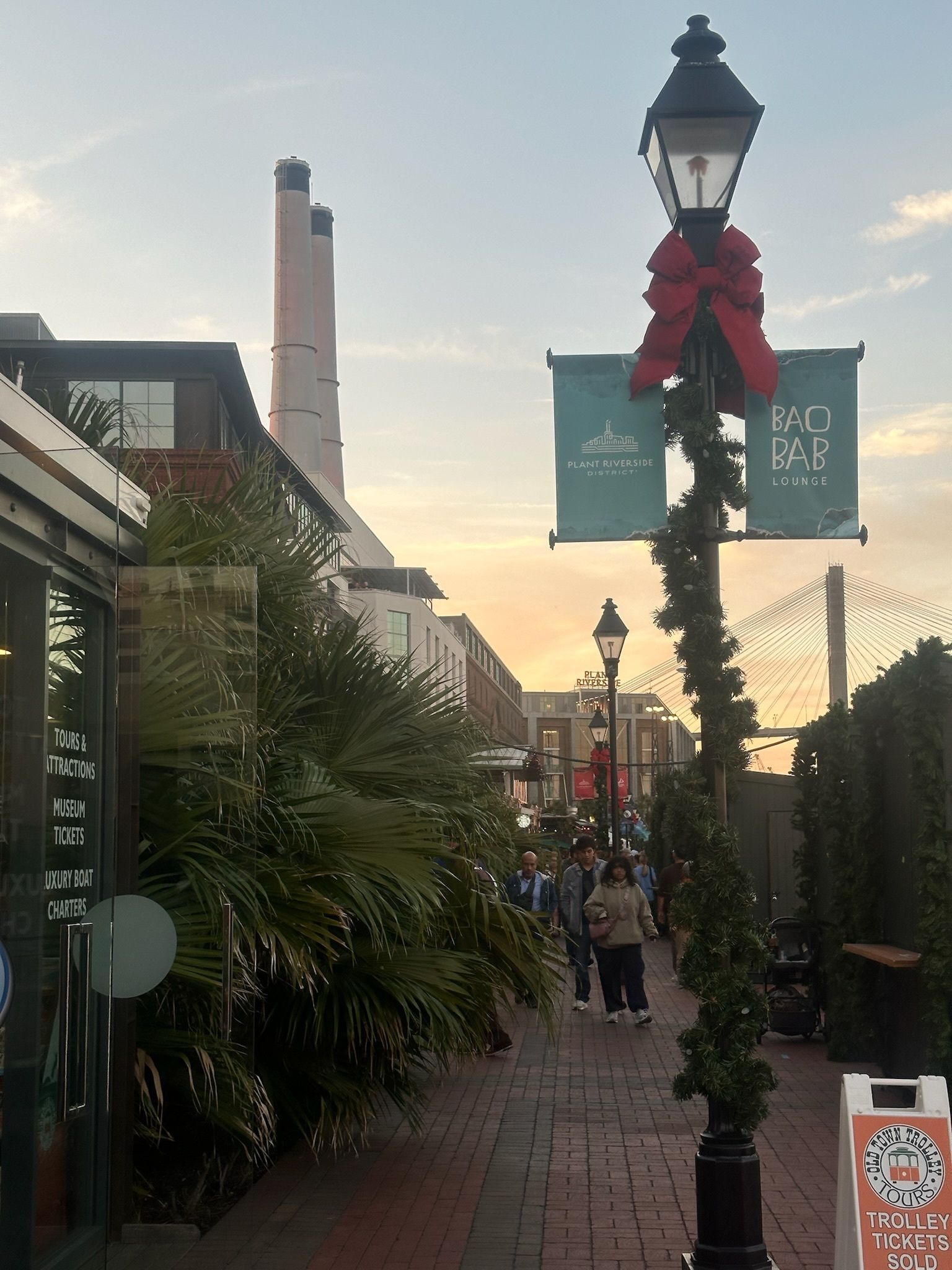 Savannah historic squares decorated with Christmas lights and holiday decorations during winter 2024