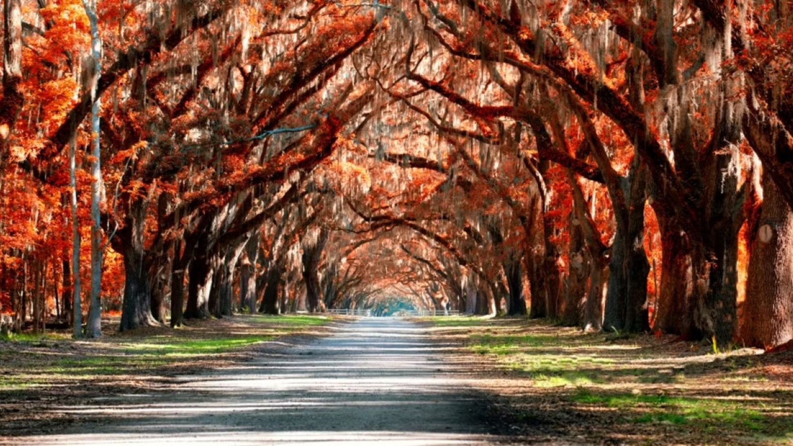 Savannah GA Weather Guide 2026: Best Times to Visit & Monthly Climate Updates