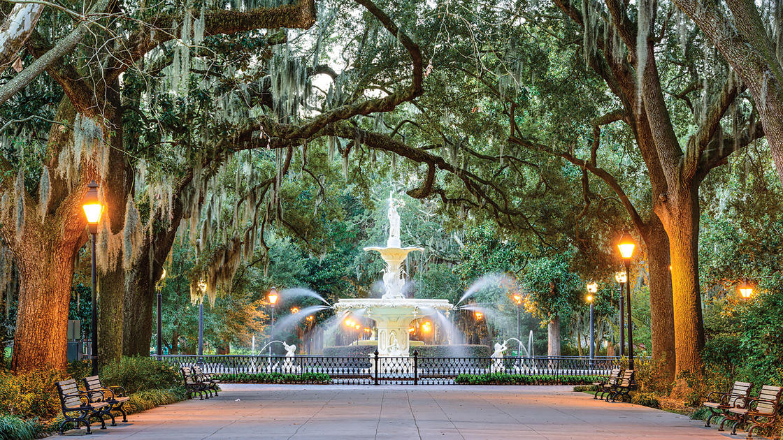 The Savannah