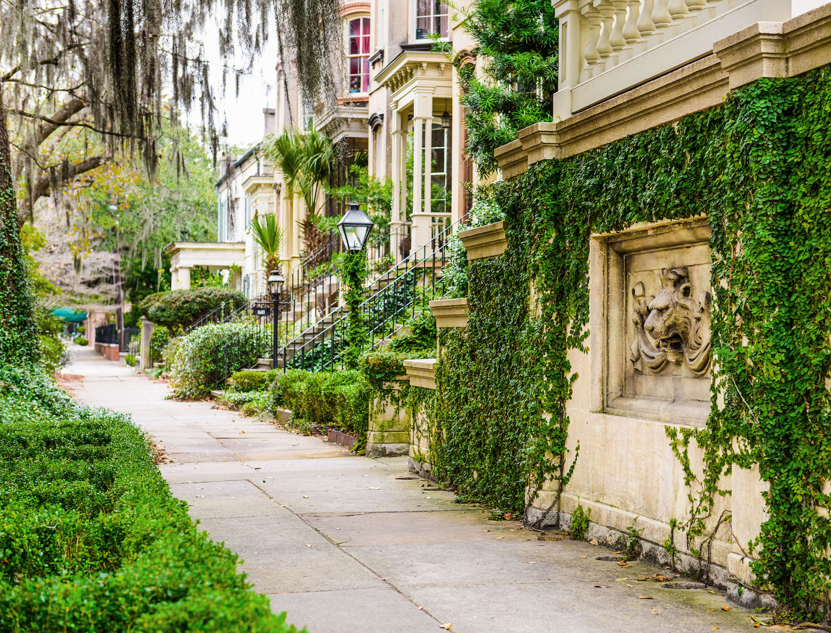 The Savannah