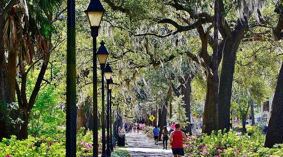Savannah Travel Walk Through Forsyth Park