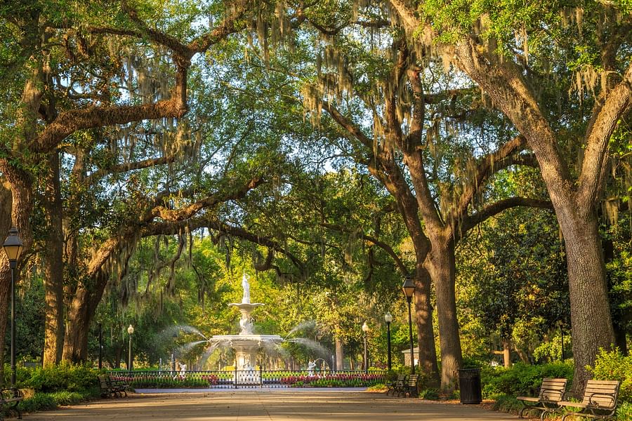Nature walks at Savannah resorts