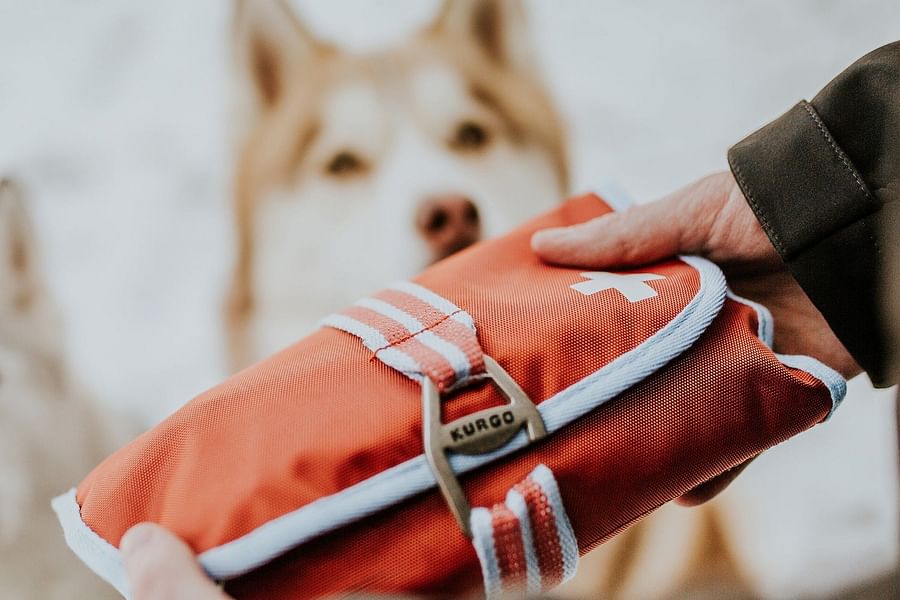 dog first aid kit