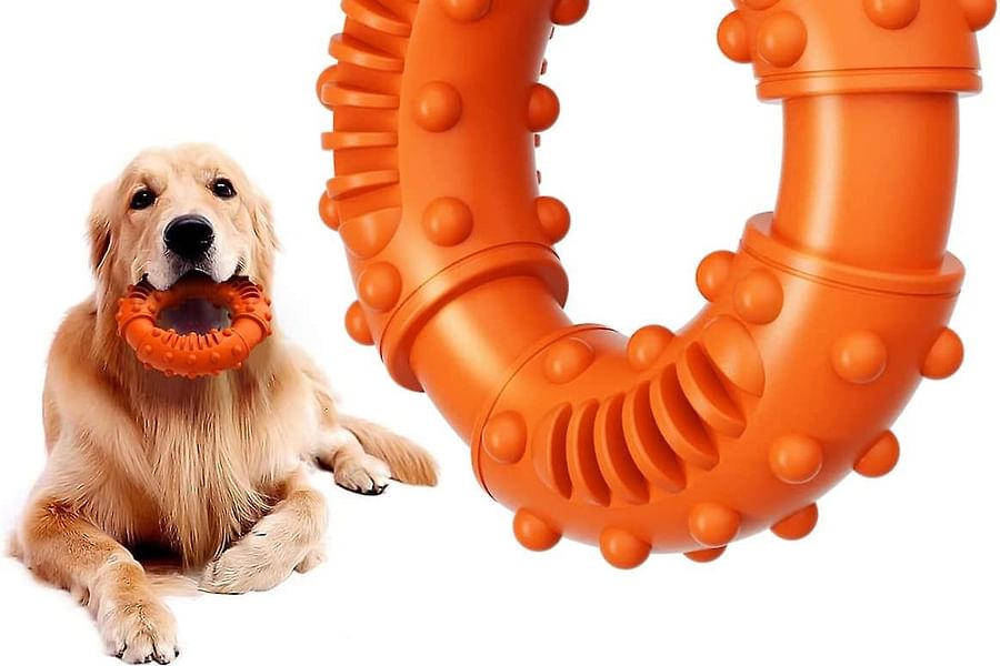 durable dog chew toys