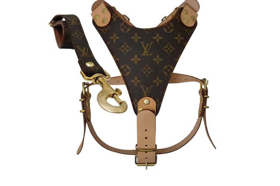 stylish dog leash and harness