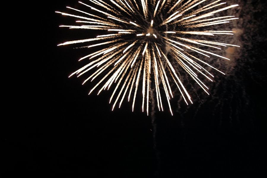 Fourth of July Fireworks Savannah River