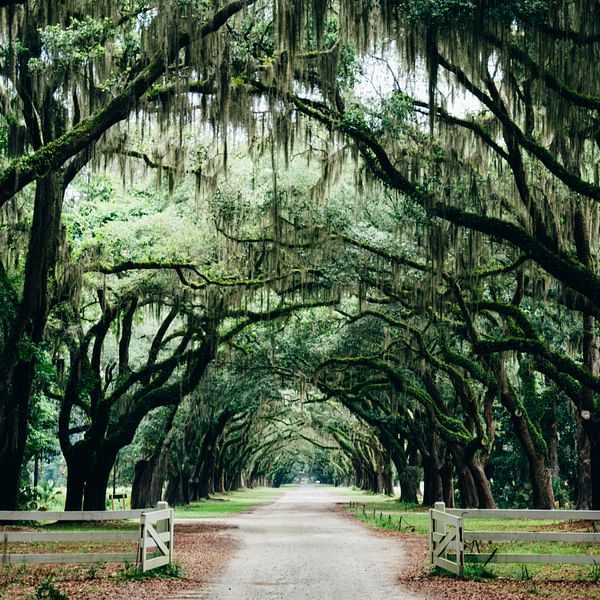 A Green Haven in the City: Parks in Savannah, GA