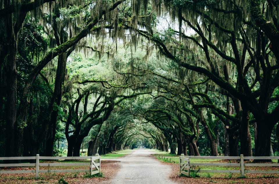 A Green Haven in the City: Parks in Savannah, GA