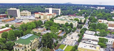 Savannah Demographics