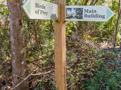 Savannah for the Adventurous: Discover the Thrilling Beach Activities in Savannah, GA