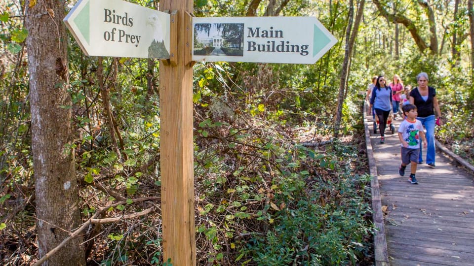 Savannah for the Adventurous: Discover the Thrilling Beach Activities in Savannah, GA