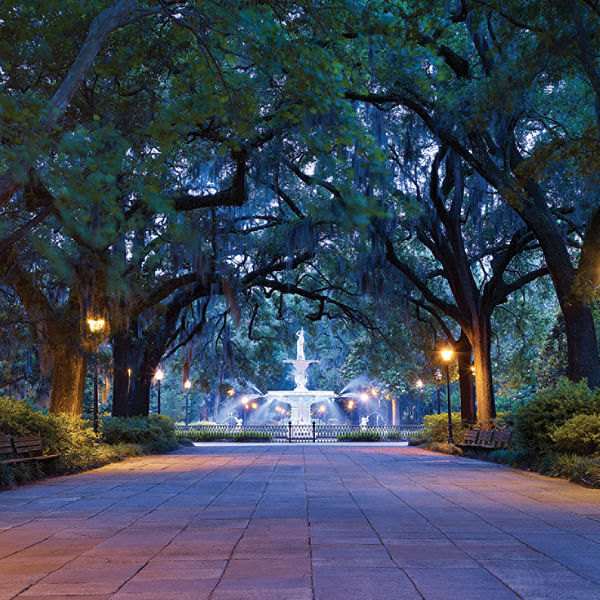 Savannah Uncovered: Things to Do in Georgia’s Charming City
