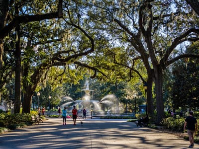 The Historic Beauty of Savannah: The Allure of the Historic District