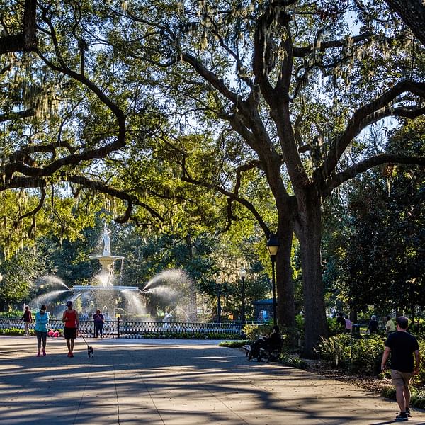 The Historic Beauty of Savannah: The Allure of the Historic District