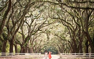The Perfect Season: When to Visit Savannah for the Best Experience