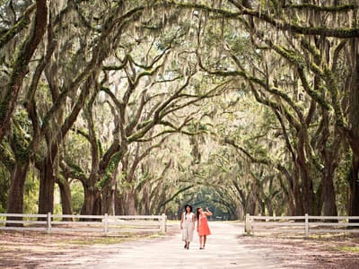The Perfect Season: When to Visit Savannah for the Best Experience