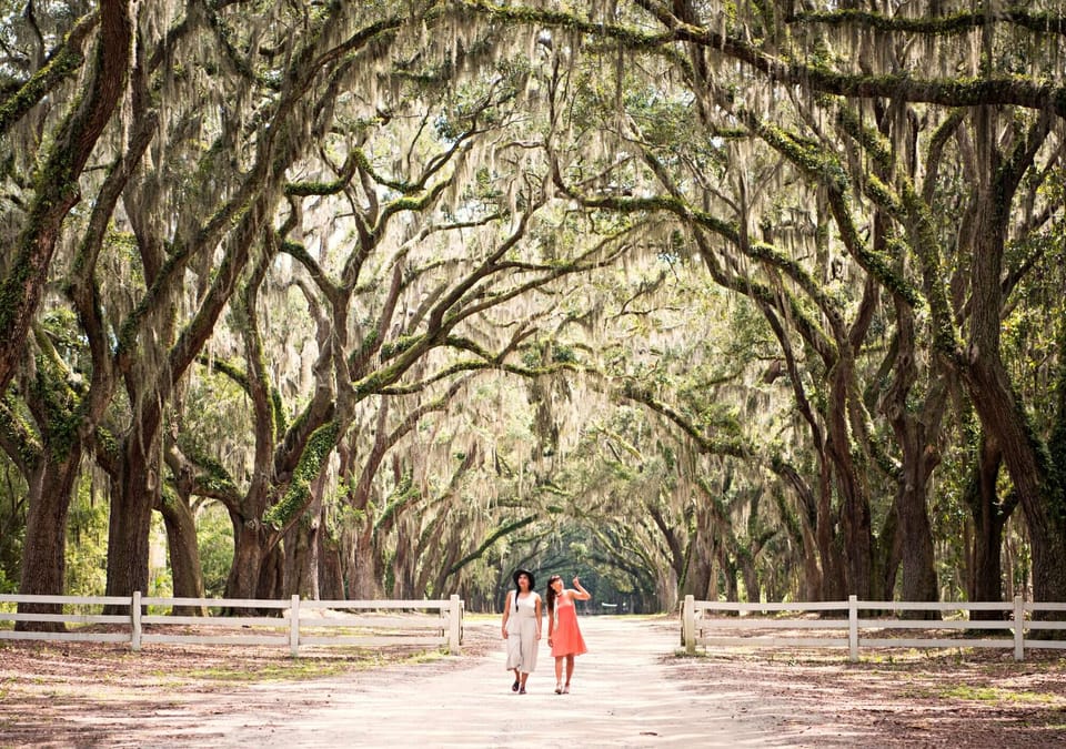 The Perfect Season: When to Visit Savannah for the Best Experience
