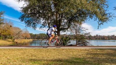 Walk on the Wild Side: A Guide to Outdoor Activities in Savannah, GA