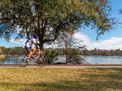 Walk on the Wild Side: A Guide to Outdoor Activities in Savannah, GA