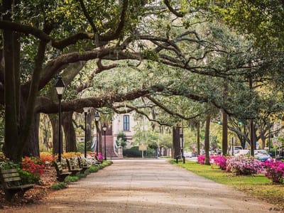 Walk Through History: Uncover Savannah's Historic District