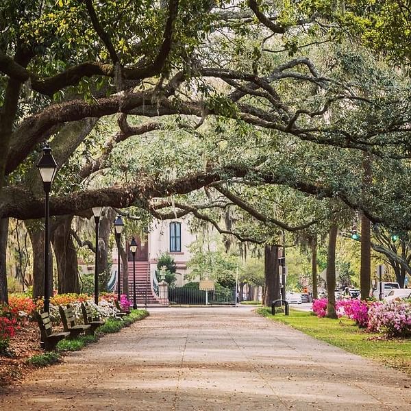 Walk Through History: Uncover Savannah's Historic District