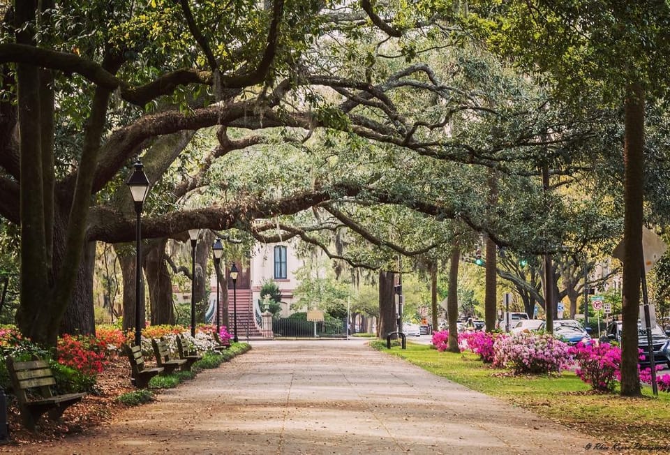 Walk Through History: Uncover Savannah's Historic District