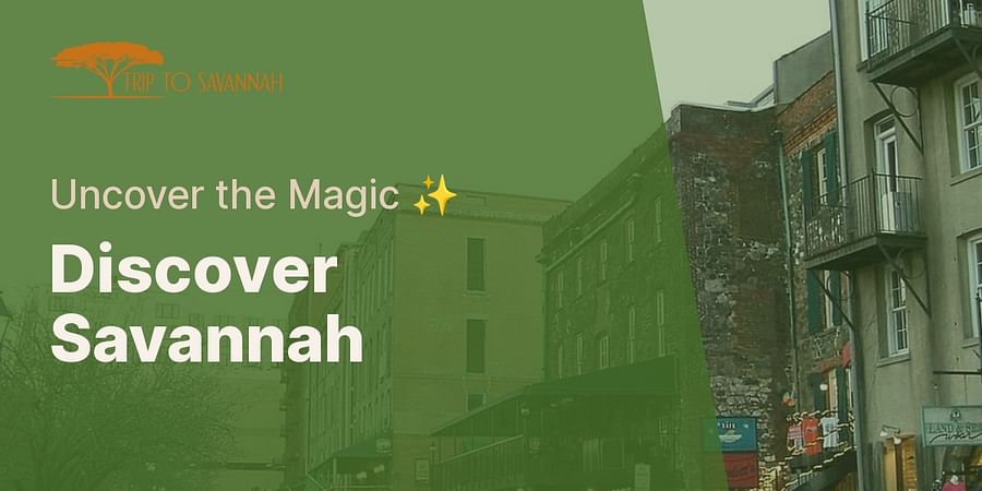Discover Savannah - Uncover the Magic ✨