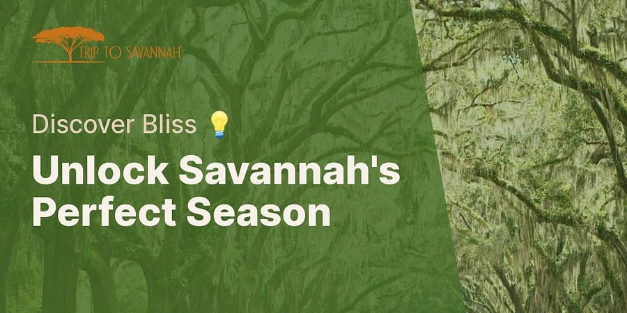 Unlock Savannah's Perfect Season - Discover Bliss 💡