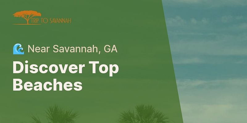 Discover Top Beaches - 🌊 Near Savannah, GA