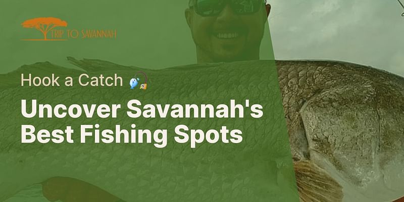 Uncover Savannah's Best Fishing Spots - Hook a Catch 🎣