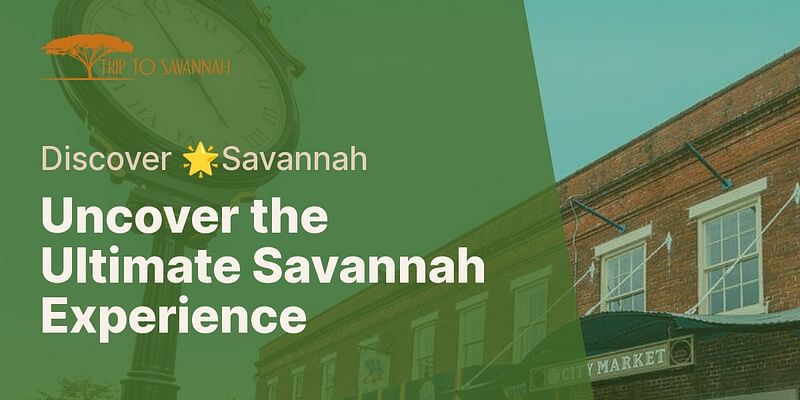 Uncover the Ultimate Savannah Experience - Discover 🌟Savannah