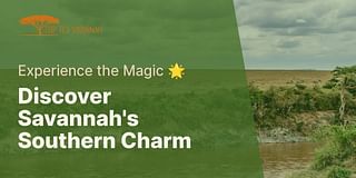 Discover Savannah's Southern Charm - Experience the Magic 🌟