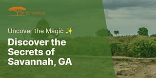 Discover the Secrets of Savannah, GA - Uncover the Magic ✨