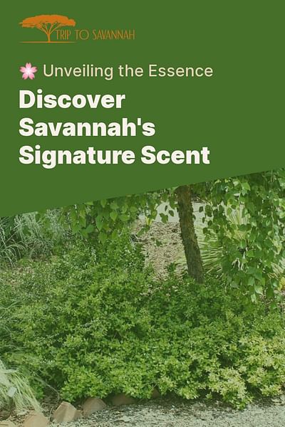 Discover Savannah's Signature Scent - 🌸 Unveiling the Essence